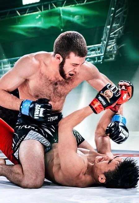 Афиша «Международный турнир и профессиональные бои TATFIGHT-12 (ТАТФАЙТ-12)»