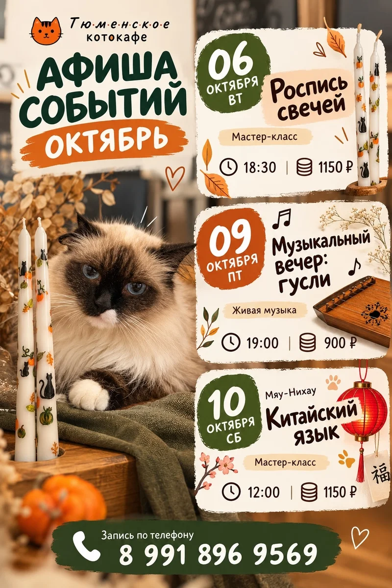 Афиша «Мяу-Нихау: китайский язык»