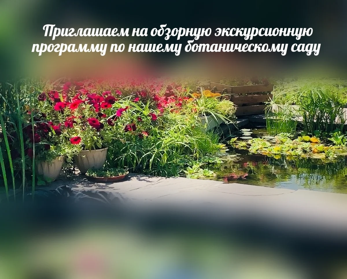 Афиша «Обзорная экскурсия по ботаническому саду»