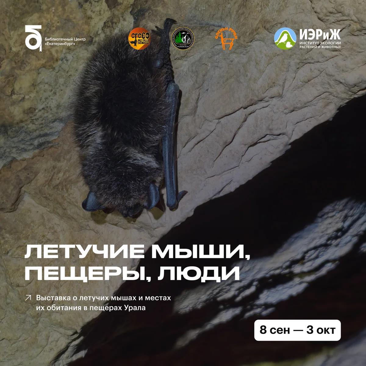 Афиша «Открытие выставки «Летучие мыши, пещеры, люди» и экскурсия»