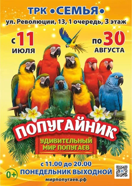 Афиша «Попугайник | Пермь (ТРК «СемьЯ»)»