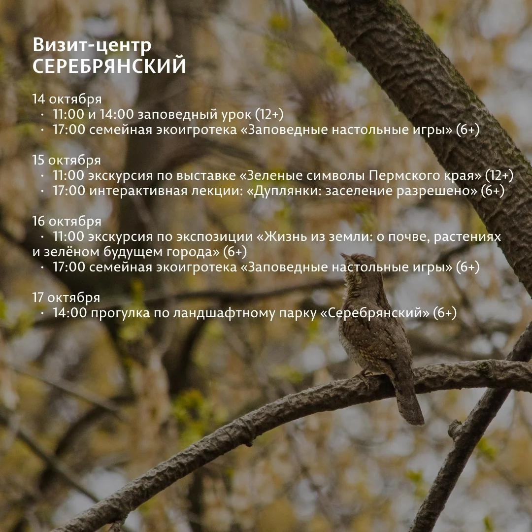 Афиша «Прогулка по ландшафтному парку «Серебрянский»»