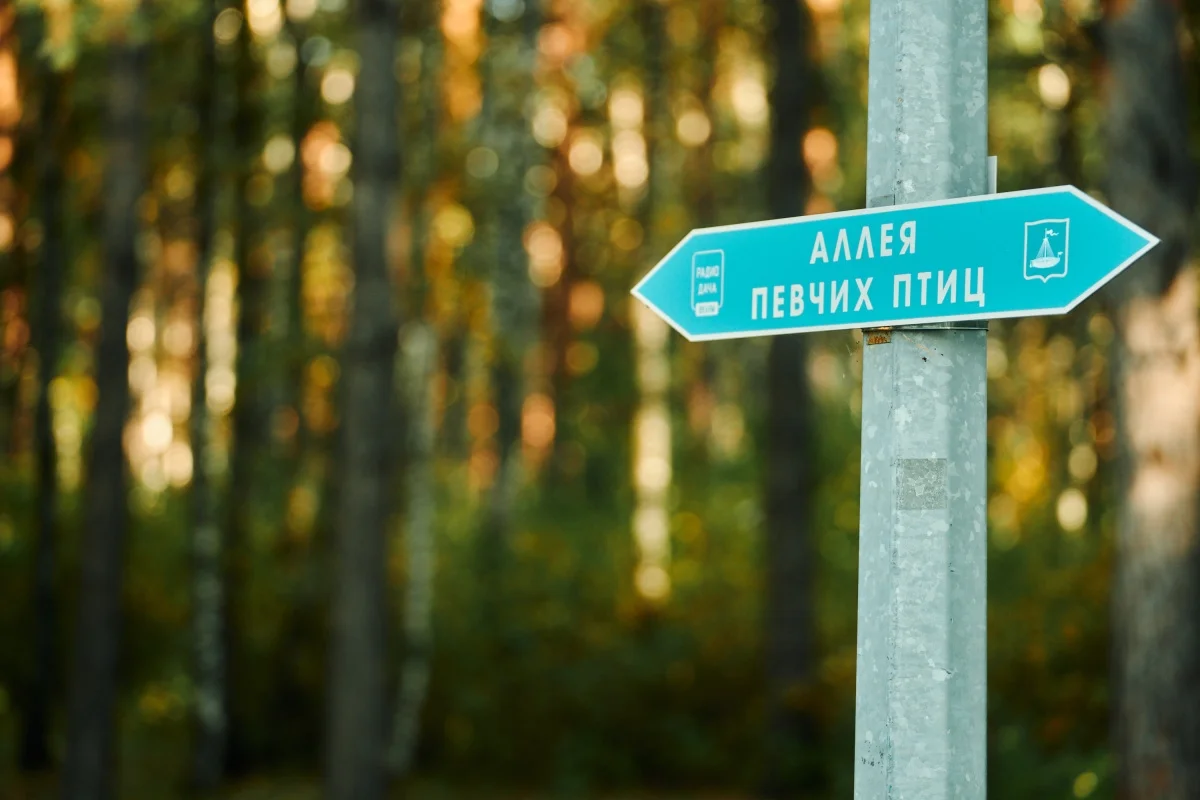 Афиша «Прогулка с орнитологом»