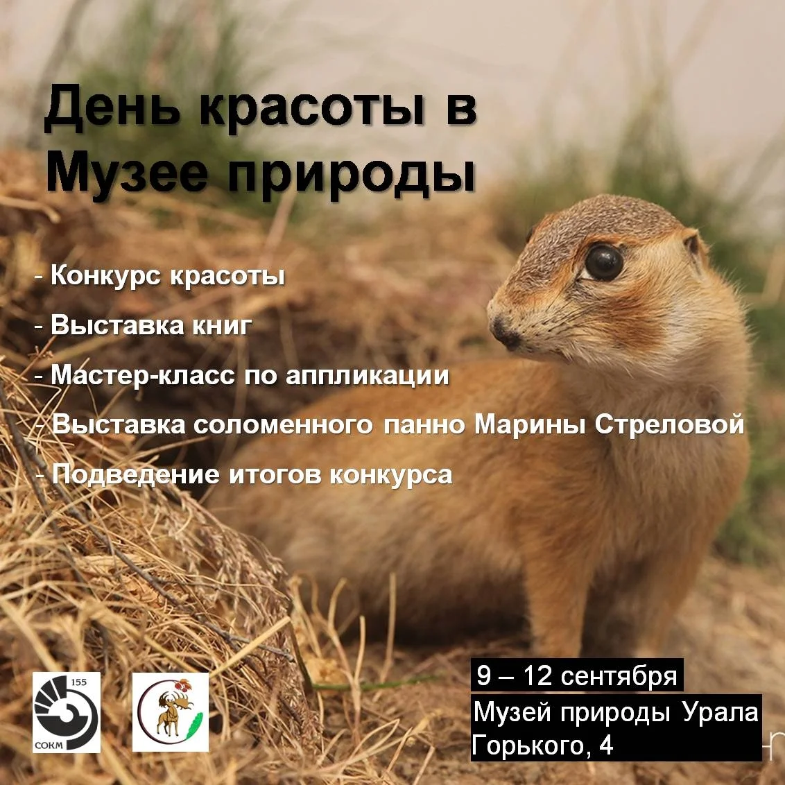 Афиша «Самое красивое млекопитающее в Музее природы Урала»