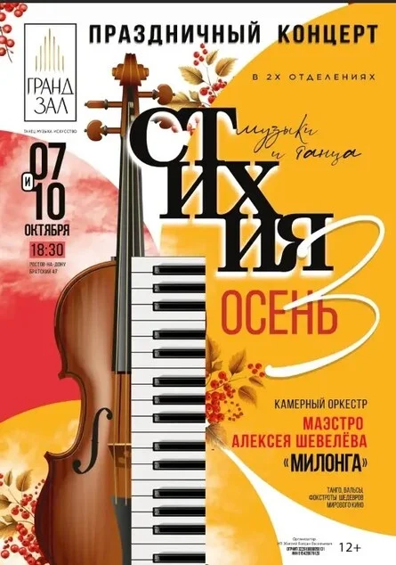 Афиша «СТИХИЯ МУЗЫКИ И ТАНЦА. КОНЦЕНТ живой музыки и шоу»