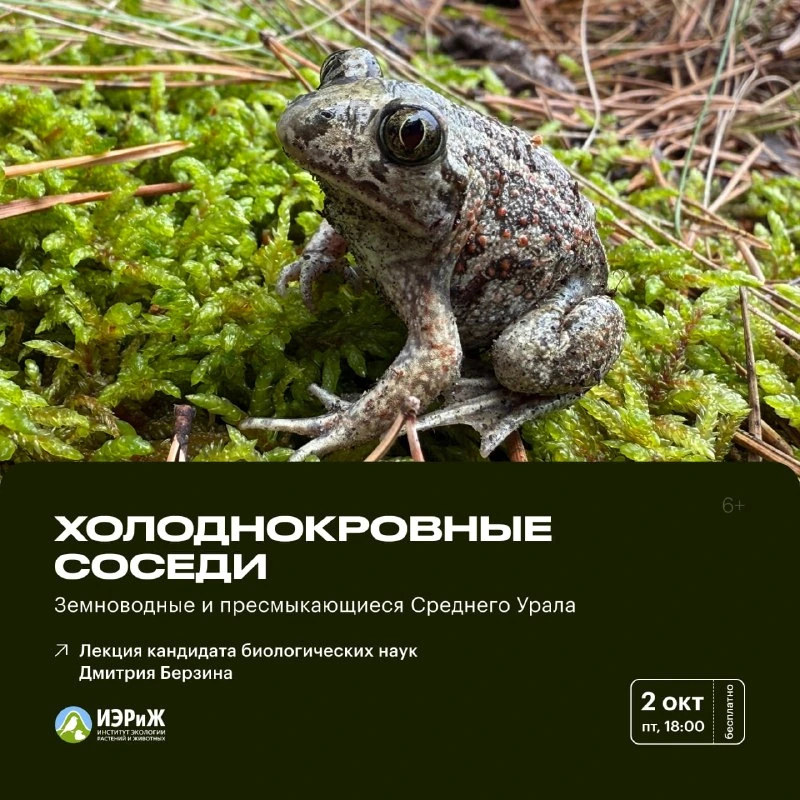 Афиша «Холоднокровные соседи: земноводные и пресмыкающиеся Среднего Урала»