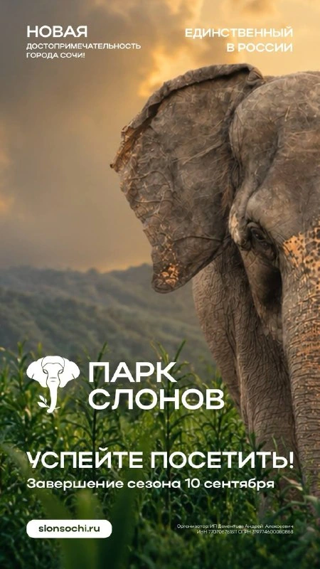 Афиша «Коктейльный цирк «Сангрия»»