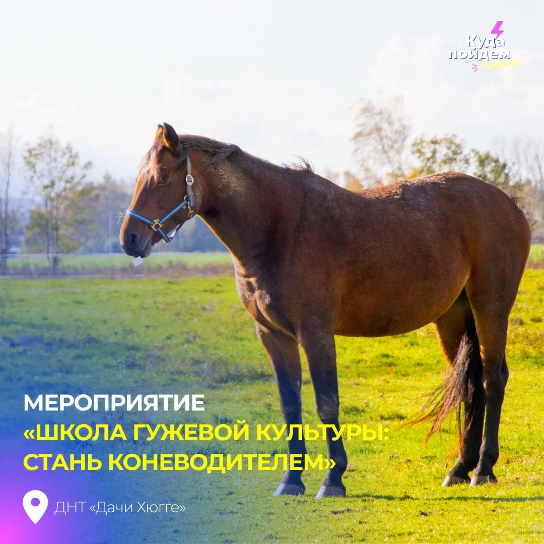 Афиша «Школа гужевой культуры: стань коневодителем»