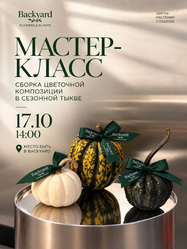 Афиша «Мастер-класс по сборке цветочной композиции в тыкве»