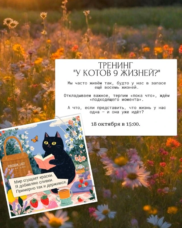 Афиша «Тренинг «У котов 9 жизней?»»