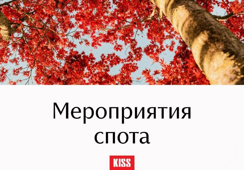Афиша «Творческая встреча о Винсенте Ван Гоге»