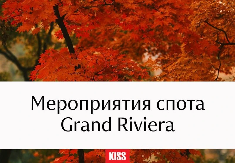 Афиша «Китайский цигун»