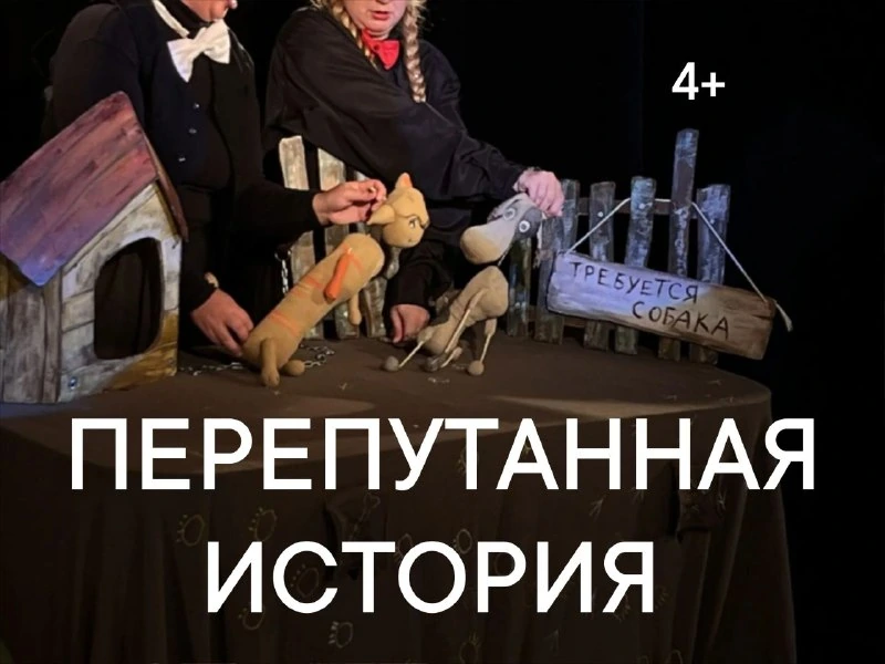 Афиша «Перепутанная история»