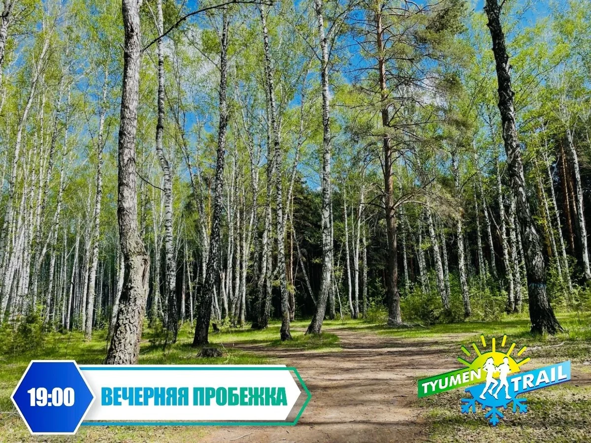 Афиша «Вечерняя пробежка Tyumen Trail»
