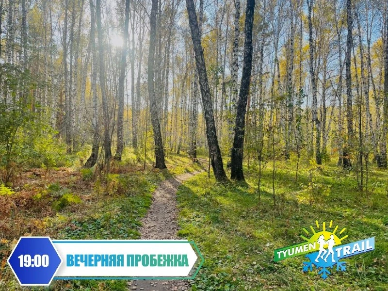 Афиша «Вечерняя пробежка»