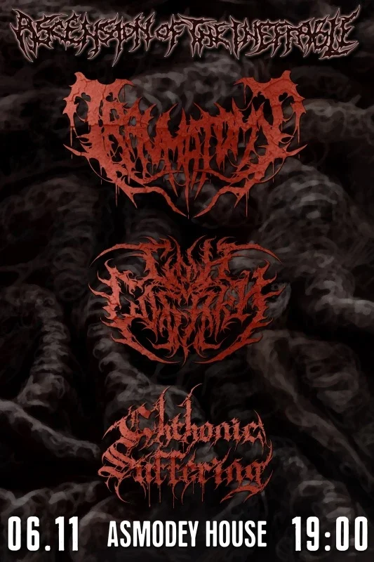 Афиша «Traumatomy • 06.11 • Хабаровск (Асмодей Хаус)»
