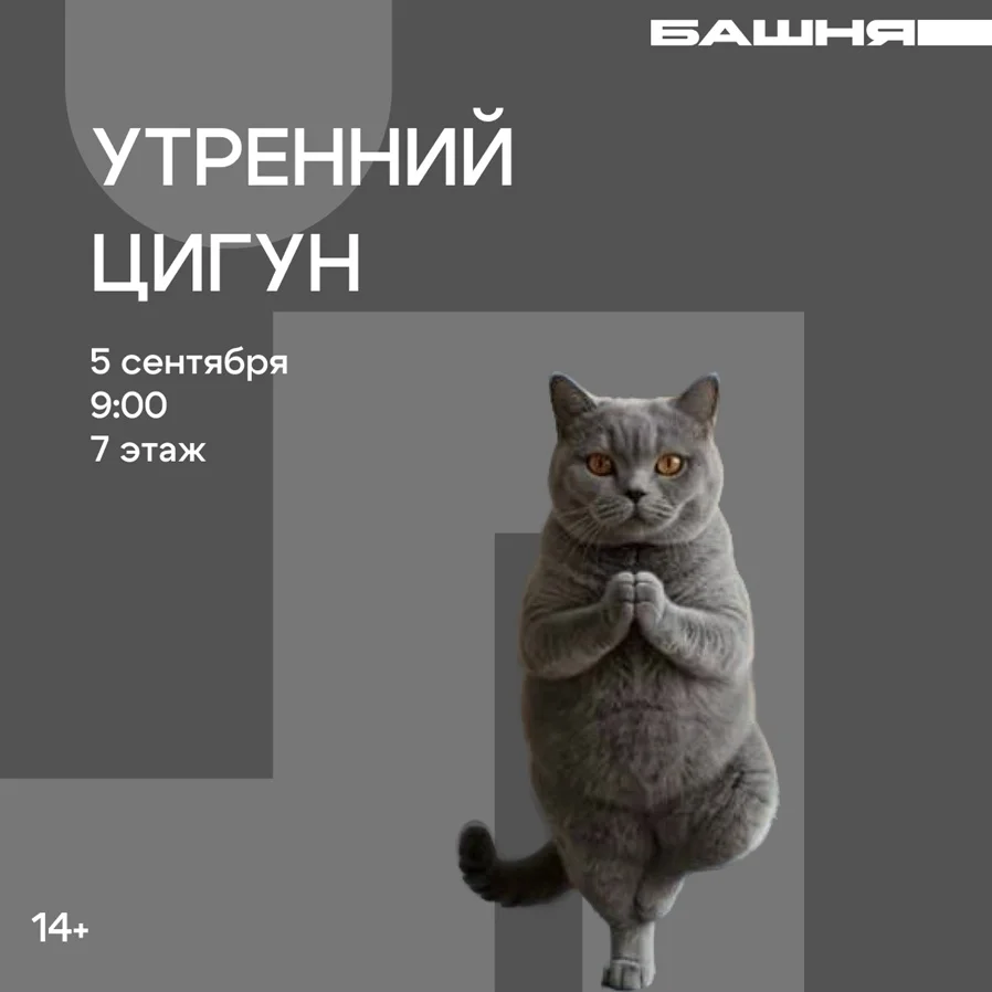 Афиша «Утренний цигун»