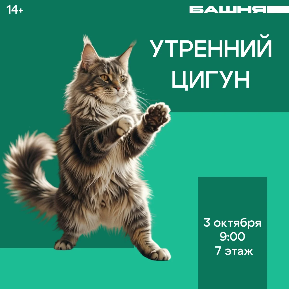 Афиша «Утренний цигун»